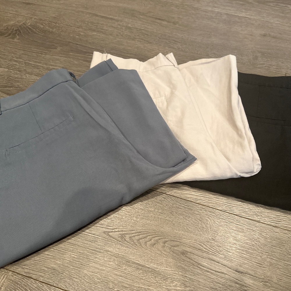 Zara wide leg pant